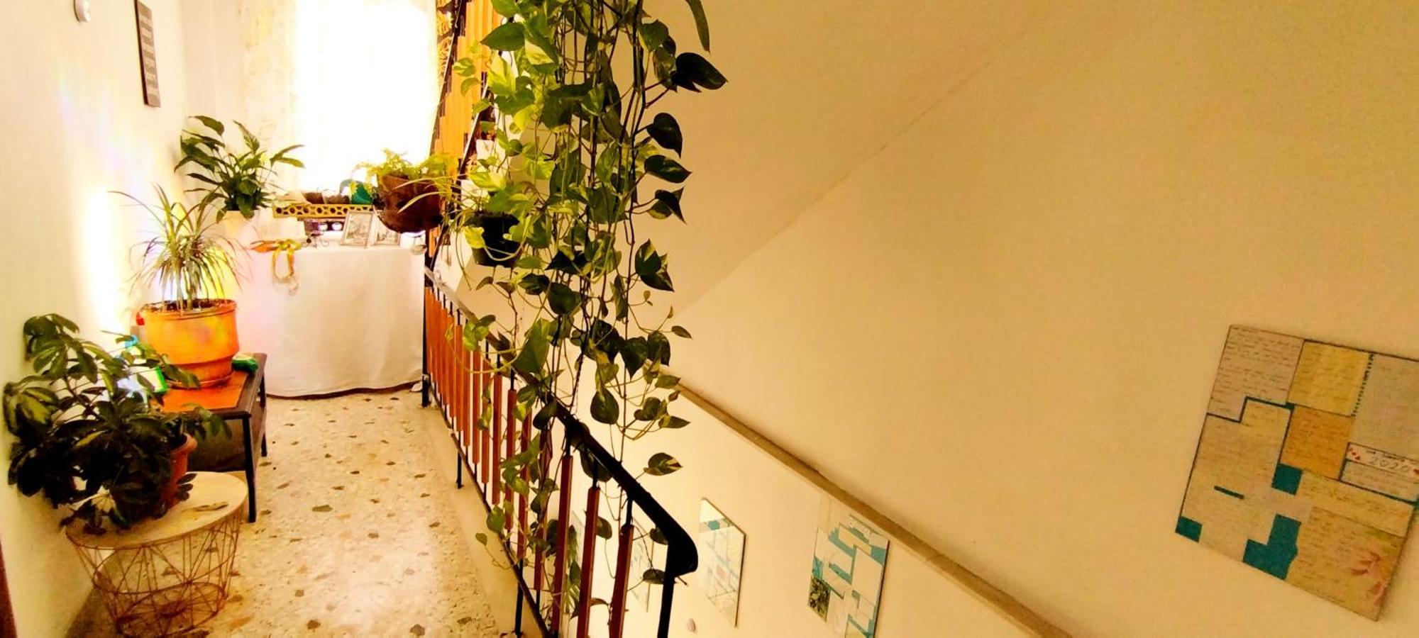 Cozy Room In Quiet Neighbourhood Афіни Екстер'єр фото